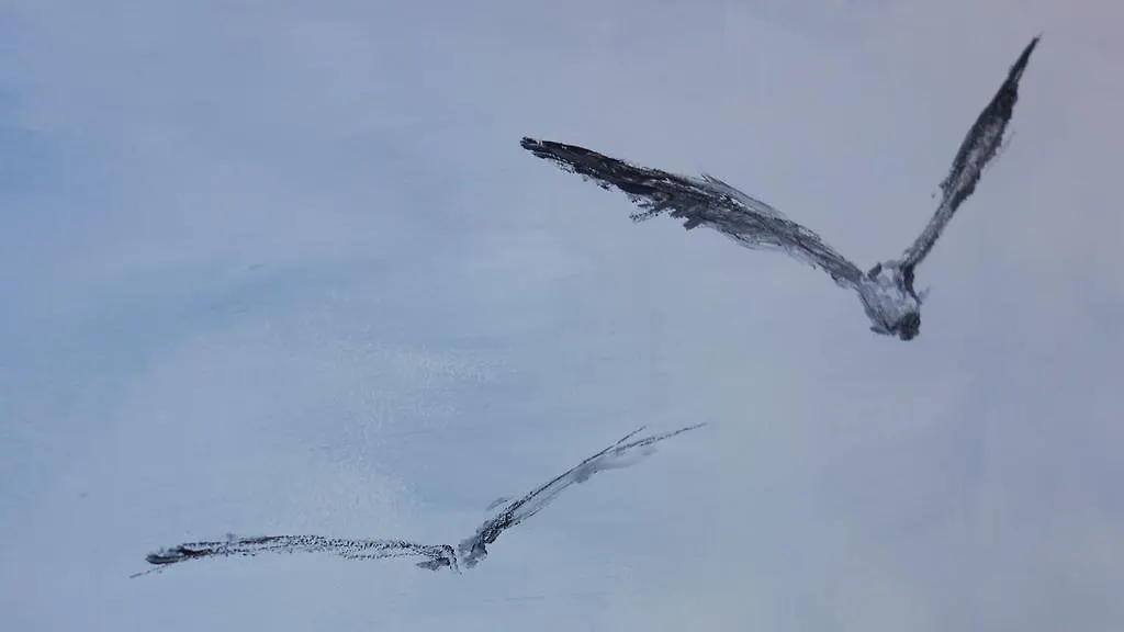 ゲストハウス ホテル ブレバルト ドノスティア サン・セバスティアン